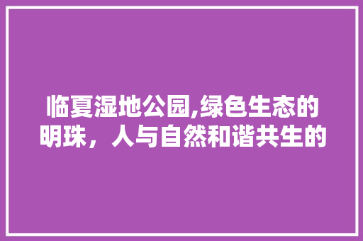 临夏湿地公园,绿色生态的明珠，人与自然和谐共生的典范