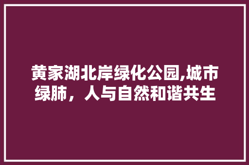 黄家湖北岸绿化公园,城市绿肺，人与自然和谐共生
