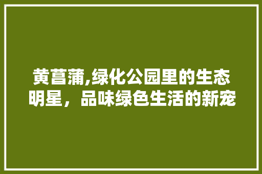黄菖蒲,绿化公园里的生态明星，品味绿色生活的新宠儿