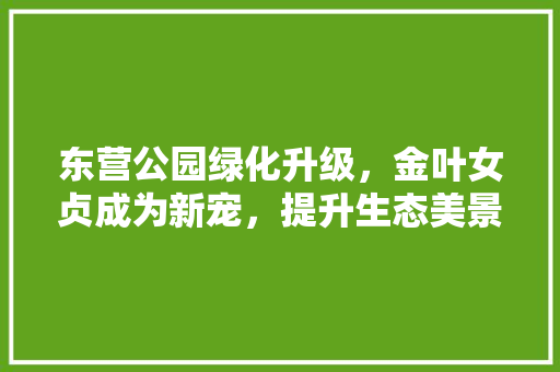 东营公园绿化升级，金叶女贞成为新宠，提升生态美景