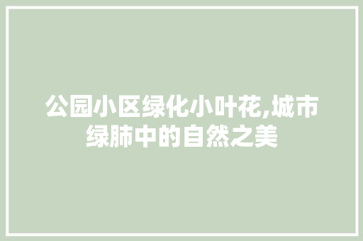 公园小区绿化小叶花,城市绿肺中的自然之美