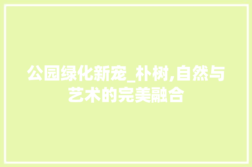 公园绿化新宠_朴树,自然与艺术的完美融合