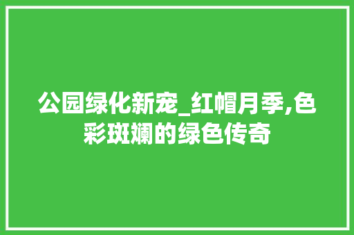 公园绿化新宠_红帽月季,色彩斑斓的绿色传奇