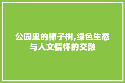 公园里的柿子树,绿色生态与人文情怀的交融