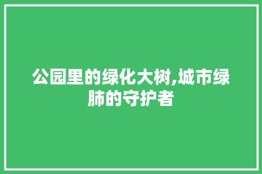 公园里的绿化大树,城市绿肺的守护者