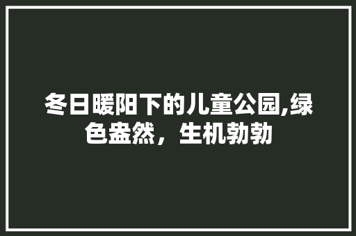 冬日暖阳下的儿童公园,绿色盎然，生机勃勃