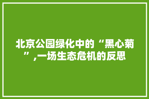 北京公园绿化中的“黑心菊”,一场生态危机的反思