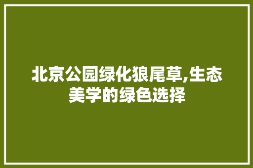 北京公园绿化狼尾草,生态美学的绿色选择
