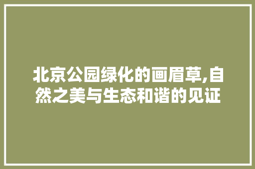 北京公园绿化的画眉草,自然之美与生态和谐的见证