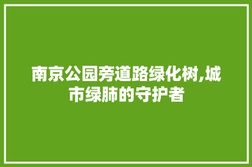 南京公园旁道路绿化树,城市绿肺的守护者