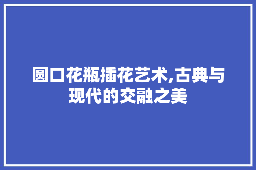 圆口花瓶插花艺术,古典与现代的交融之美