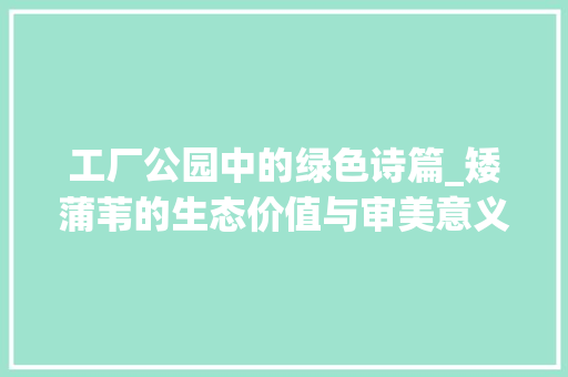 工厂公园中的绿色诗篇_矮蒲苇的生态价值与审美意义