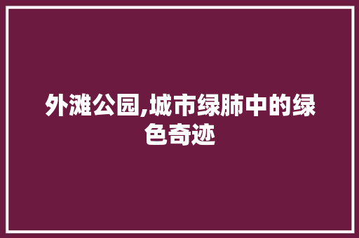 外滩公园,城市绿肺中的绿色奇迹