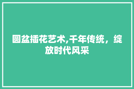 圆盆插花艺术,千年传统，绽放时代风采