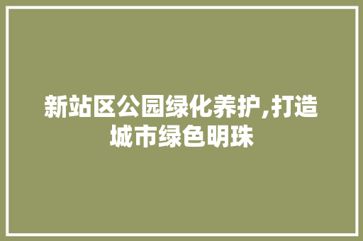 新站区公园绿化养护,打造城市绿色明珠