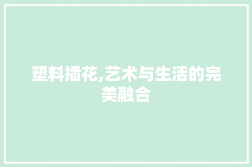 塑料插花,艺术与生活的完美融合