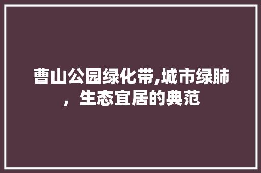 曹山公园绿化带,城市绿肺，生态宜居的典范