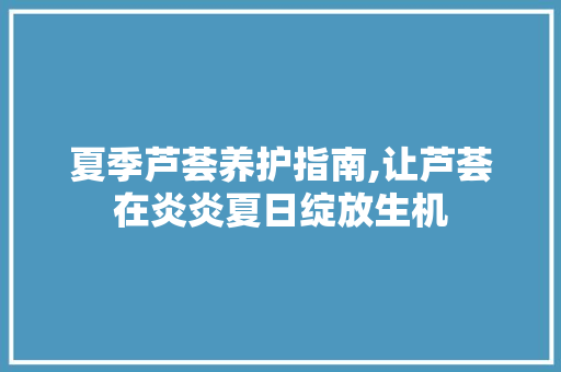 夏季芦荟养护指南,让芦荟在炎炎夏日绽放生机