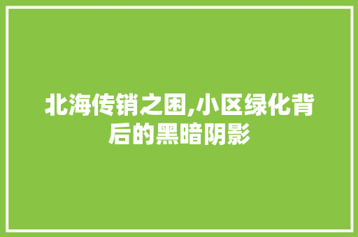 北海传销之困,小区绿化背后的黑暗阴影