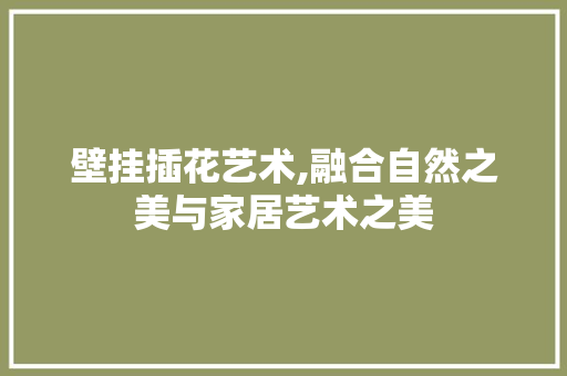 壁挂插花艺术,融合自然之美与家居艺术之美