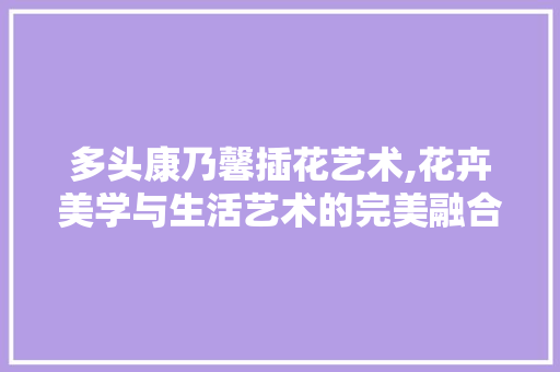 多头康乃馨插花艺术,花卉美学与生活艺术的完美融合