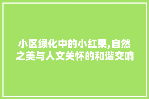 小区绿化中的小红果,自然之美与人文关怀的和谐交响