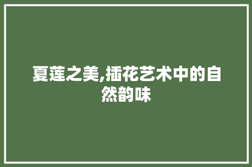 夏莲之美,插花艺术中的自然韵味