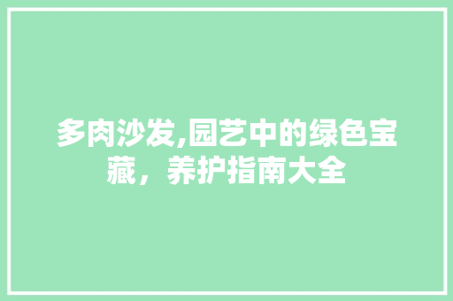 多肉沙发,园艺中的绿色宝藏，养护指南大全