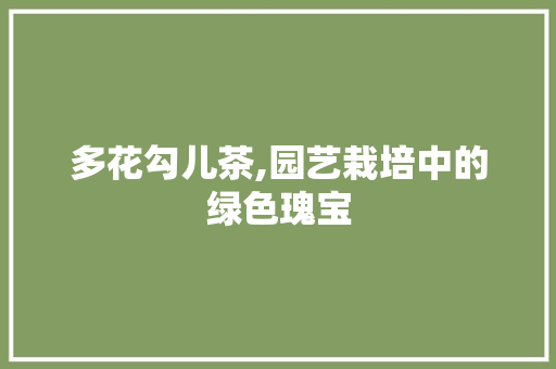 多花勾儿茶,园艺栽培中的绿色瑰宝