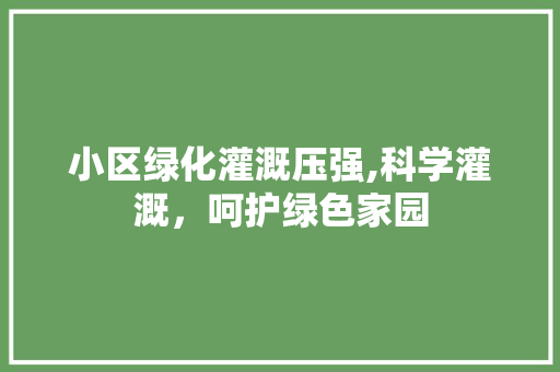 小区绿化灌溉压强,科学灌溉，呵护绿色家园
