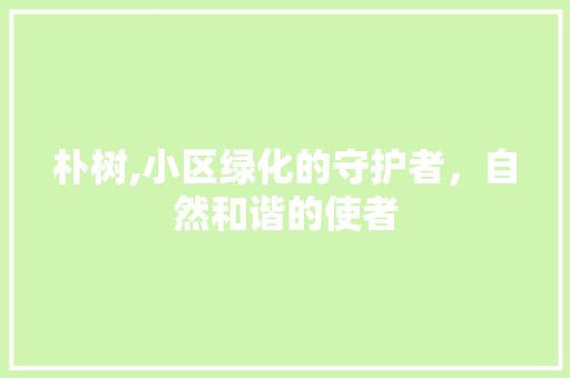 朴树,小区绿化的守护者，自然和谐的使者