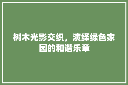 树木光影交织，演绎绿色家园的和谐乐章
