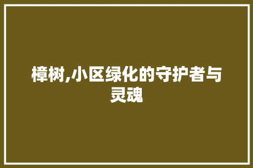 樟树,小区绿化的守护者与灵魂