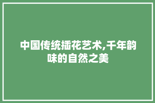 中国传统插花艺术,千年韵味的自然之美