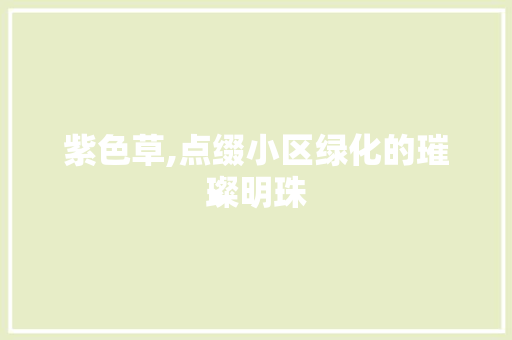 紫色草,点缀小区绿化的璀璨明珠