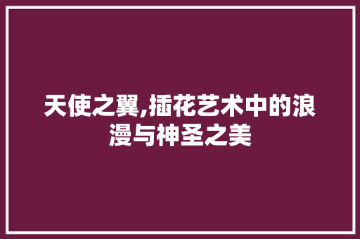 天使之翼,插花艺术中的浪漫与神圣之美