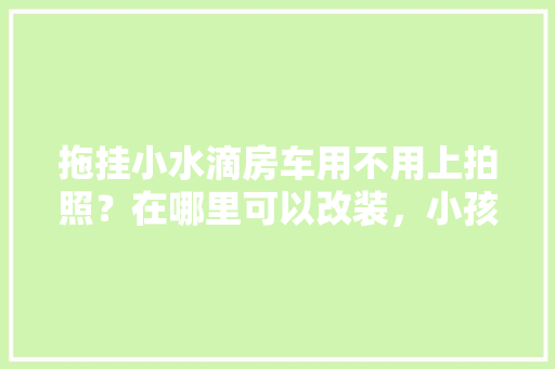 DIY艺术相框插花活动,打造个性化家居空间的艺术之旅
