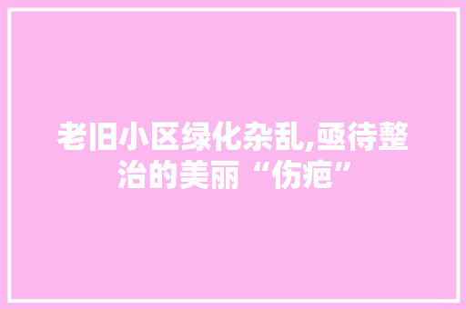 老旧小区绿化杂乱,亟待整治的美丽“伤疤”