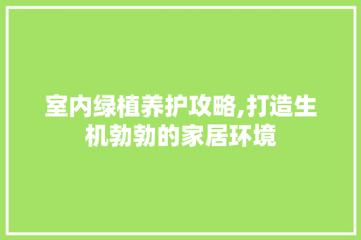室内绿植养护攻略,打造生机勃勃的家居环境
