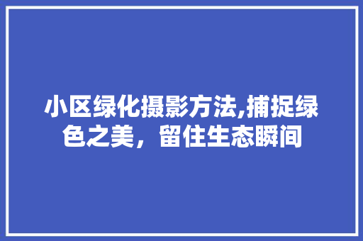 小区绿化摄影方法,捕捉绿色之美，留住生态瞬间