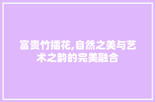 富贵竹插花,自然之美与艺术之韵的完美融合