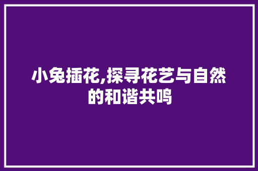 小兔插花,探寻花艺与自然的和谐共鸣