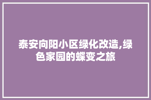泰安向阳小区绿化改造,绿色家园的蝶变之旅